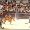 Gladiator : Bild Ridley Scott, Russell Crowe
