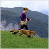 Der Fuchs und das Mädchen : photo Bertille Noël-Bruneau, Luc Jacquet