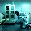 Splice - Das Genexperiment : Bild Sarah Polley, Vincenzo Natali