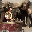 Bedtime Stories : photo Adam Sandler, Adam Shankman