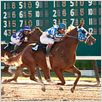 Secretariat : photo Randall Wallace