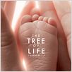 The Tree of Life : poster
