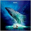Life of Pi: Schiffbruch mit Tiger : Kinoposter