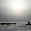Inuk : photo