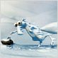 Ice Age 3 - Die Dinosaurier sind los : photo Carlos Saldanha