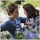 The Twilight Saga: Eclipse - Bis(s) zum Abendrot : photo David Slade, Kristen Stewart, Robert Pattinson