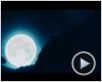 Underworld: Aufstand der Lykaner Trailer DF Underworld: Aufstand der Lykaner Trailer DF
