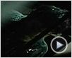 Tanz der Teufel Trailer DF Tanz der Teufel Trailer DF