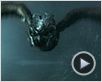 Die Legende der Wächter Trailer Die Legende der Wächter Trailer