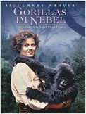 Gorillas im Nebel