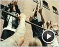 Zeiten ändern dich Videoclip DF