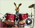 Hop - Osterhase oder Superstar Teaser DF