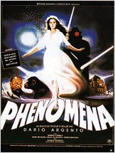Phenomena Phenomena