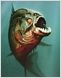 Piranha 3D: Trailer zu Ajas blutigem Fisch-Horror