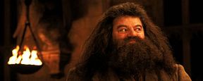 Er sprach Hagrid in "Harry Potter" und Gol D. Roger in "One Piece": Synchronsprecher Hartmut Neugebauer verstorben Er sprach Hagrid in "Harry Potter" und Gol D. Roger in "One Piece": Synchronsprecher Hartmut Neugebauer verstorben