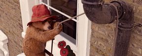 "Paddington 2": Im neuen deutschen Trailer ist der knuffige Bär los "Paddington 2": Im neuen deutschen Trailer ist der knuffige Bär los