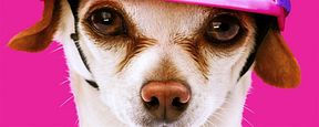 Süß! Im ersten Trailer zu "Dog Days" werden reihenweise Stars durch Hunde glücklich Süß! Im ersten Trailer zu "Dog Days" werden reihenweise Stars durch Hunde glücklich