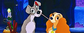 Nicht animiert: Disneys "Susi & Strolch"-Remake wird mit echten Hunden gedreht Nicht animiert: Disneys "Susi & Strolch"-Remake wird mit echten Hunden gedreht