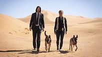 "John Wick 3": Diesen Schockmoment setzte Keanu Reeves gegen den Willen des Studios durch "John Wick 3": Diesen Schockmoment setzte Keanu Reeves gegen den Willen des Studios durch