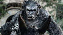 Unter Disney: Nächster "Planet der Affen"-Film soll ein (weiterer) Reboot werden! Unter Disney: Nächster "Planet der Affen"-Film soll ein (weiterer) Reboot werden!