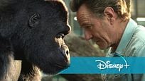 Disney+ statt Kino: Trailer zum tierischen Blockbuster "Der einzig wahre Ivan" mit Mega-Cast Disney+ statt Kino: Trailer zum tierischen Blockbuster "Der einzig wahre Ivan" mit Mega-Cast