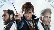 Ist nach "Phantastische Tierwesen 3" Schluss? Warner baut angeblich Notbremse für enttäuschendes "Potter"-Spin-off ein Ist nach "Phantastische Tierwesen 3" Schluss? Warner baut angeblich Notbremse für enttäuschendes "Potter"-Spin-off ein