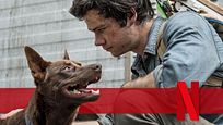 Stirbt der Hund in "Love And Monsters"? Alle Infos zum tierischen Netflix-Star Stirbt der Hund in "Love And Monsters"? Alle Infos zum tierischen Netflix-Star