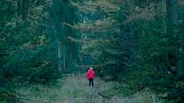 Streaming-Tipp: Ab heute könnt ihr einen der härtesten Filme der vergangenen Jahre komplett kostenlos schauen Streaming-Tipp: Ab heute könnt ihr einen der härtesten Filme der vergangenen Jahre komplett kostenlos schauen