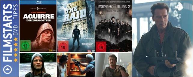Die FILMSTARTS-DVD-Tipps (20. bis 26. Januar 2013)